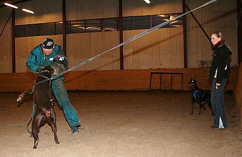 Training in Estonia 3/2007